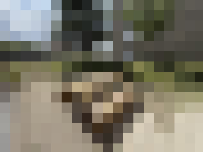  / #48