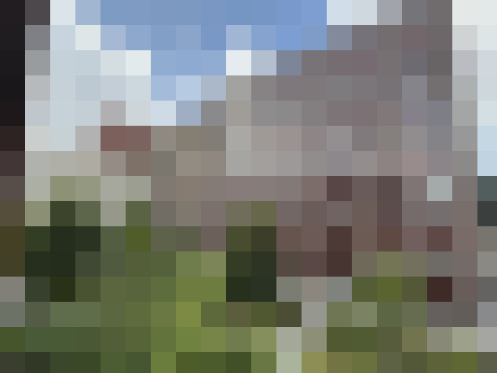  / #61