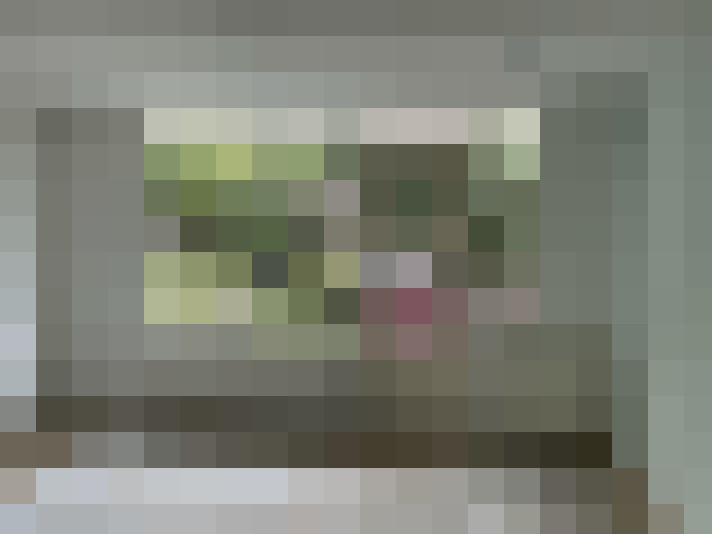  / #19