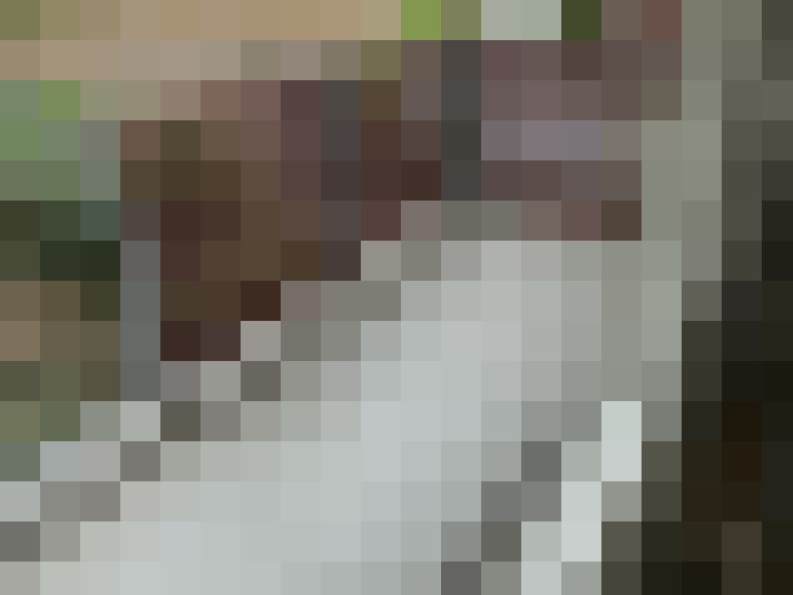  / #26