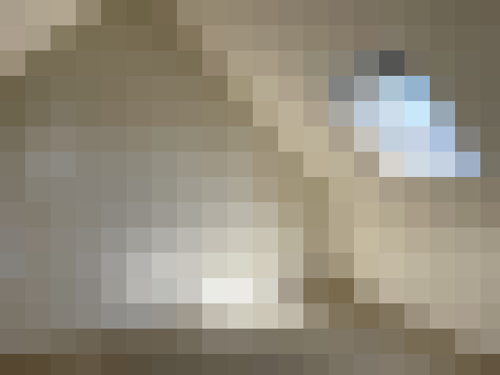  / #15