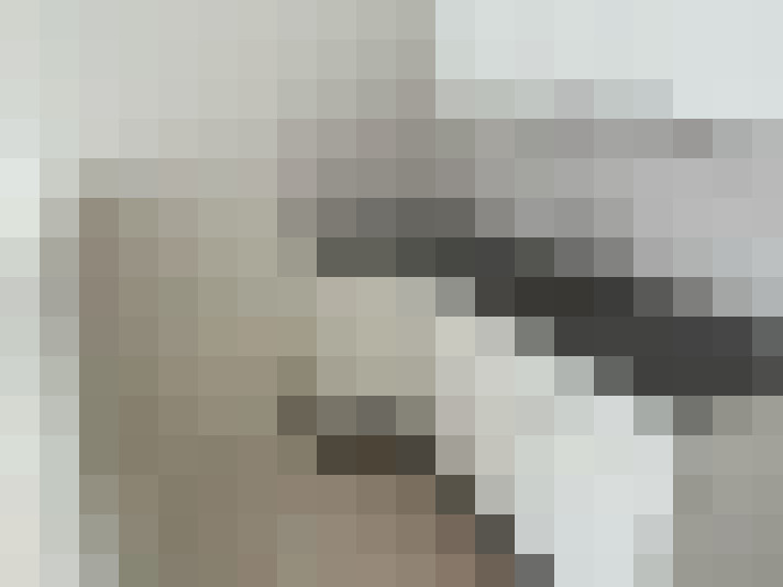 / #16
