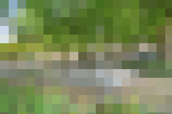  / #33