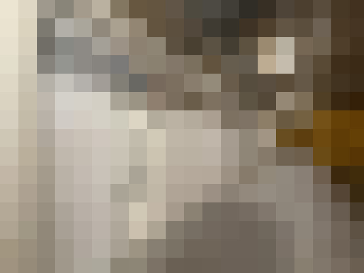  / #19