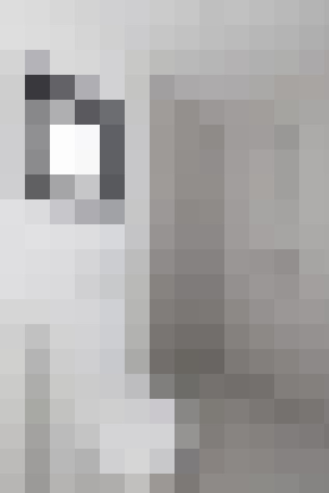  / #23