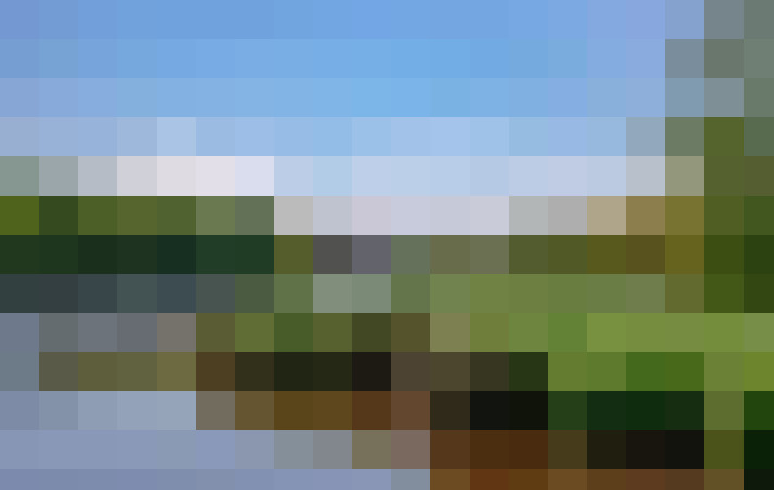 / #54