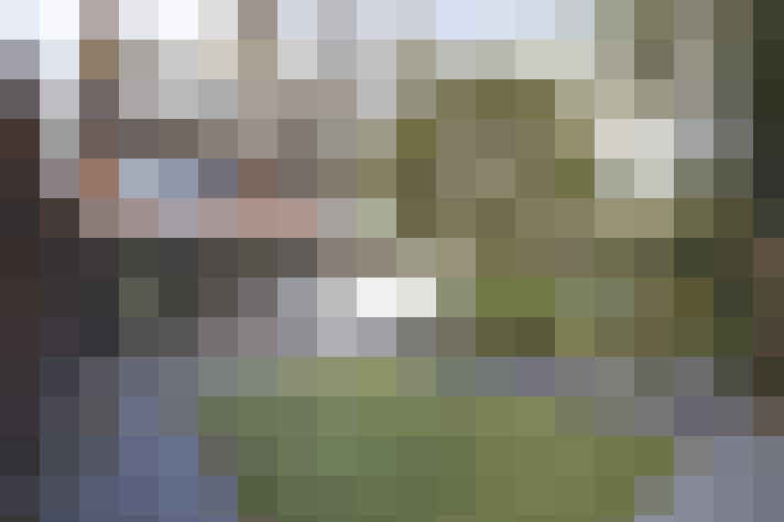 / #33
