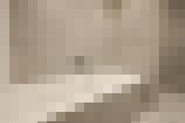  / #18