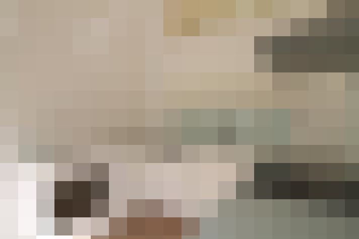  / #11