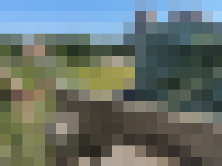  / #14