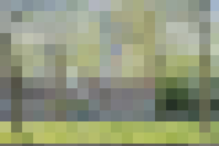 / #31