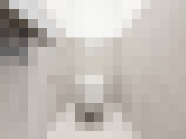  / #15