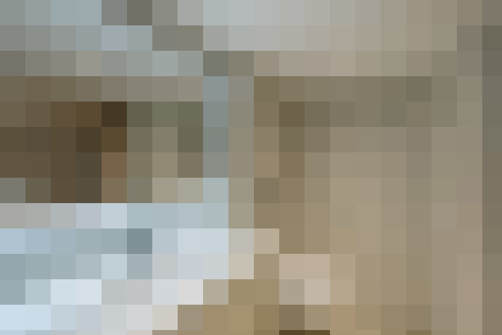  / #19