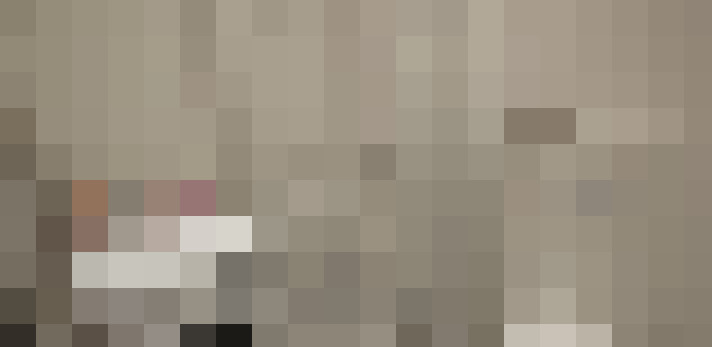  / #11