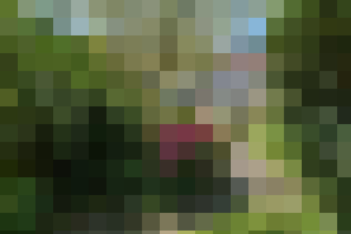  / #16