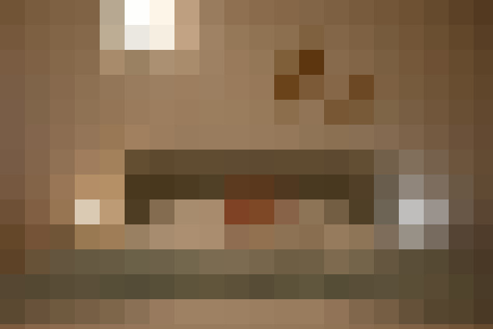  / #5