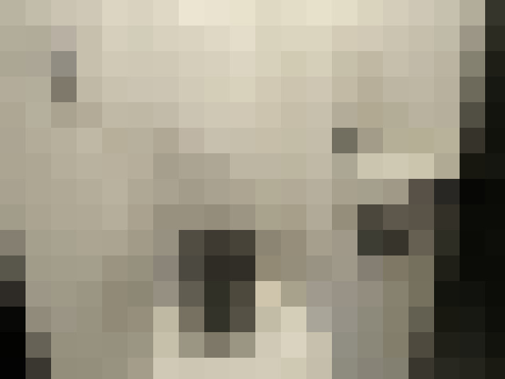  / #20
