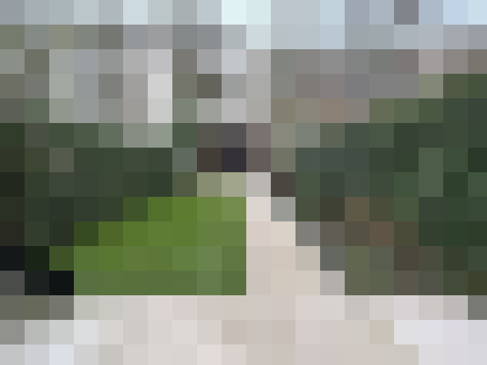  / #17