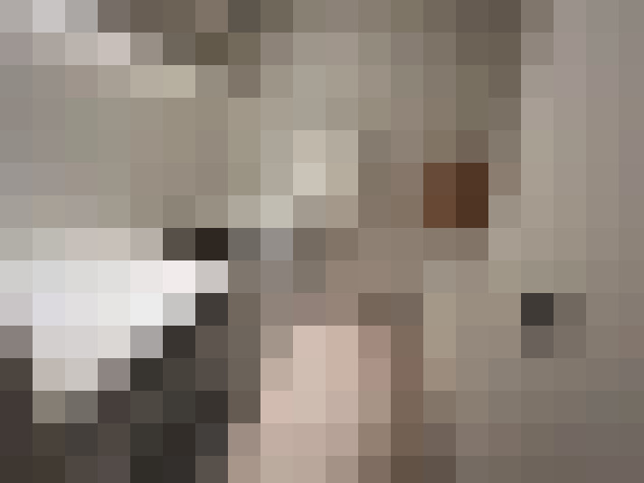  / #28