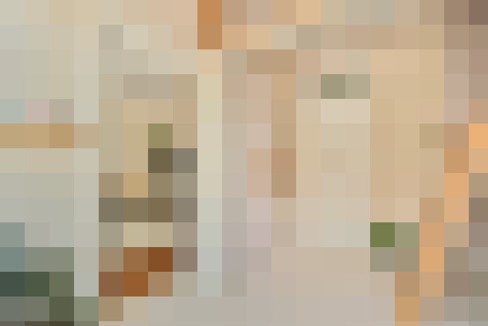 / #19
