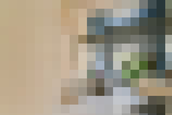  / #21