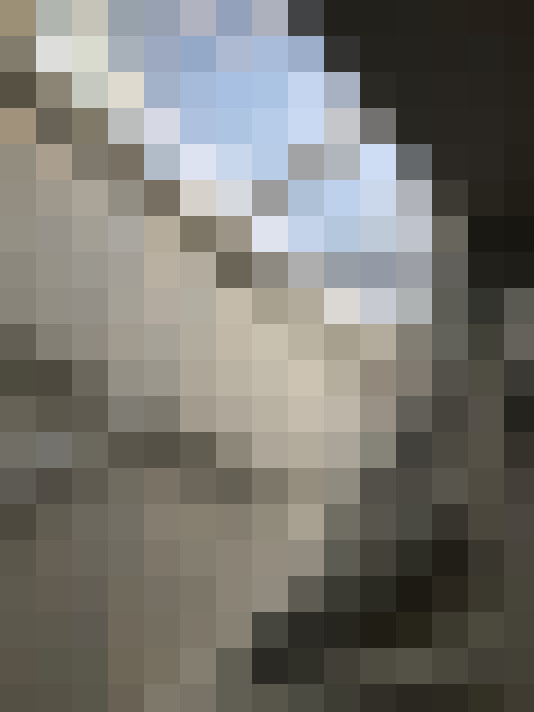  / #15