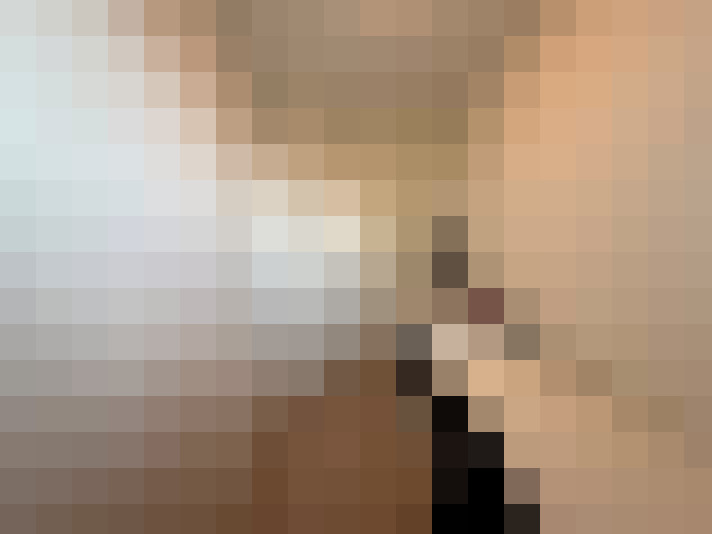  / #17
