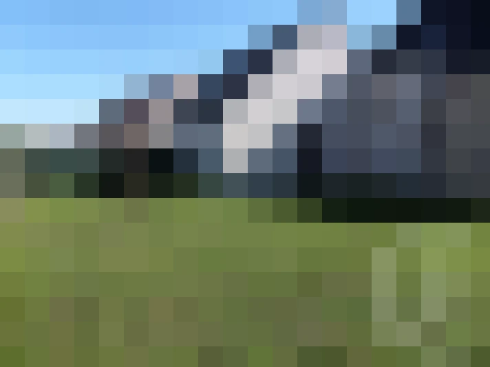  / #7