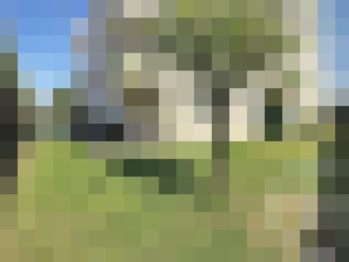  / #7