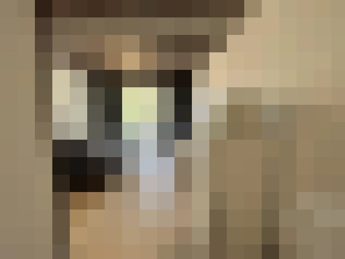  / #8