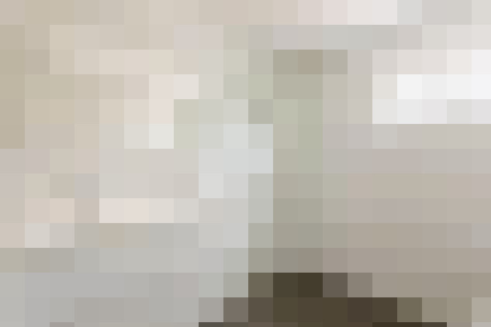  / #19