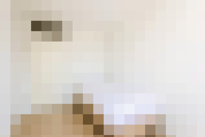  / #16