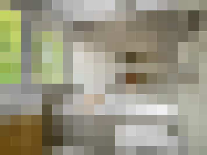  / #22
