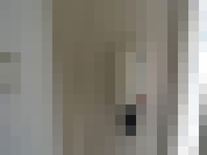  / #13