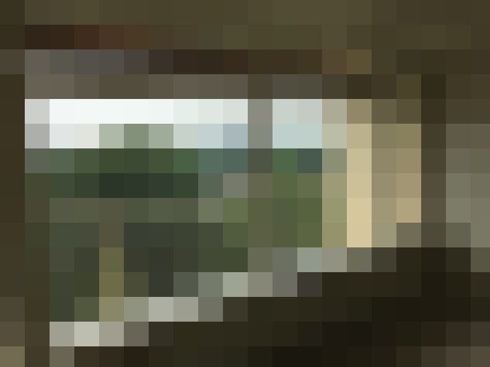 / #22