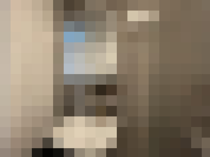  / #28