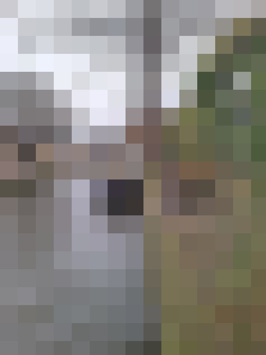  / #51