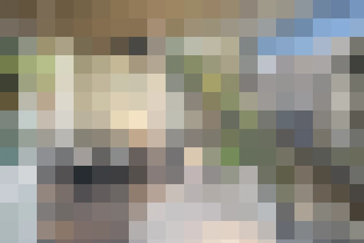  / #16