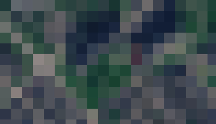  / #33