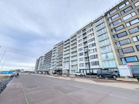 Studio in Heist-aan-zee