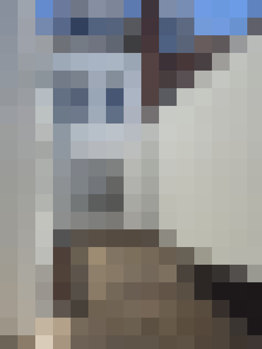  / #19