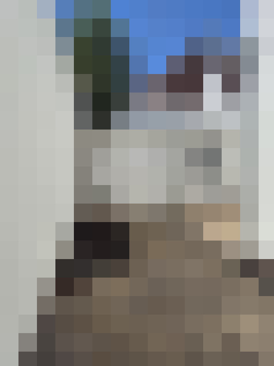  / #20