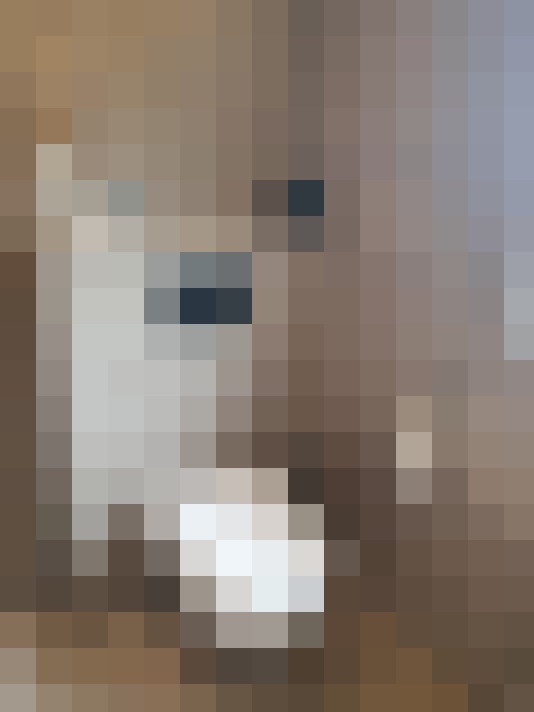  / #18