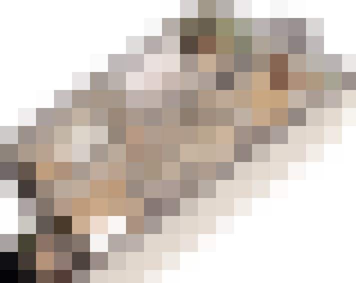  / #11