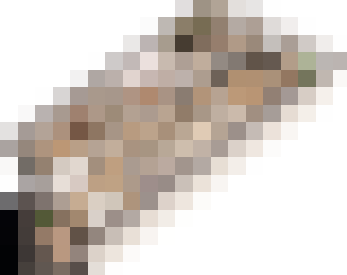  / #11
