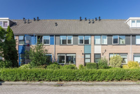 Dom — Hoorn