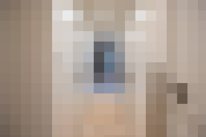  / #24