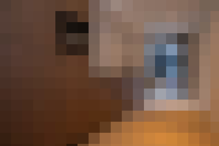  / #7