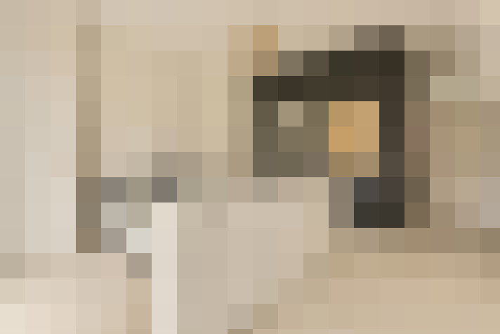  / #21