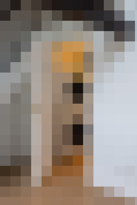  / #11